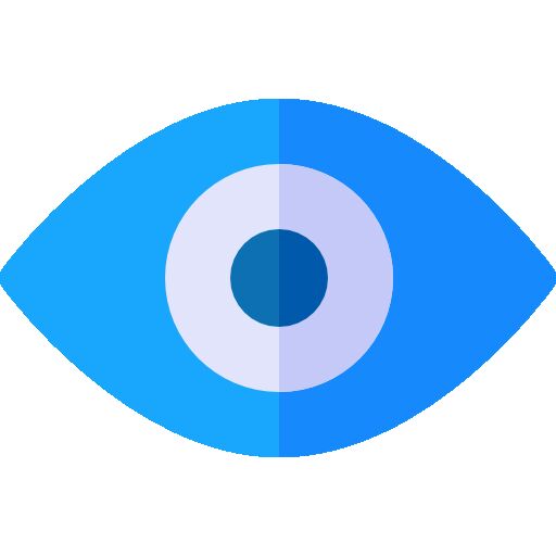 Our Vision